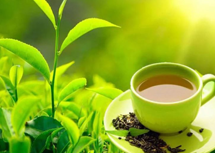 नेपाली अर्गानिक चियाको माग अमेरिकी बजारमा बढ्दो